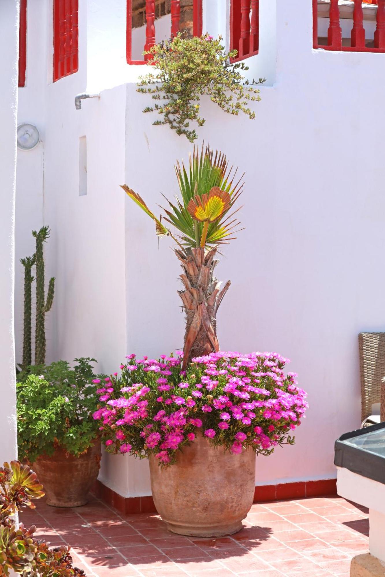 Riad Villa Garance Essaouira Buitenkant foto